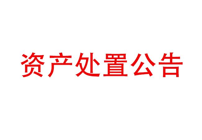閑置設備資產處置公告(2023-21)